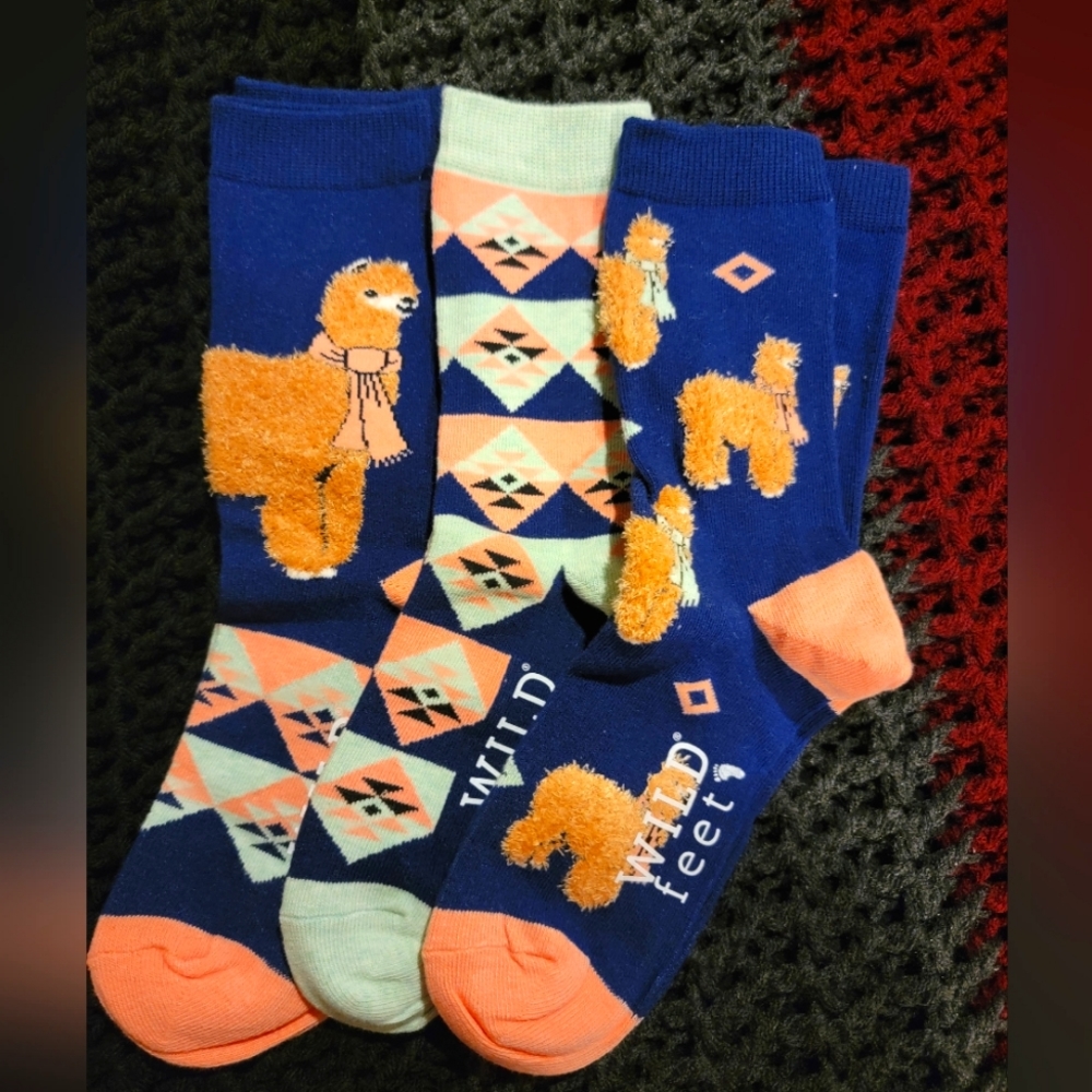 Wild Feet Llama socks bundle